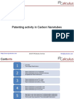 IPCalculus - Carbon Nanotubes Patenting Activity