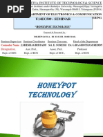 Honeypot Technology