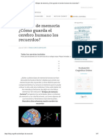 40 Tipos de Memoria ¿Cómo Guarda El Cerebro Humano Los Recuerdos