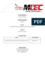 Practical Work 2 Digital Entrepreneurship Development