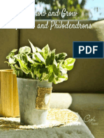 Know and Grow Pothos and Philodendrons