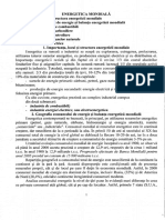 energetica mondiala_popovici.pdf