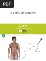 ctic9 N2 As células sexuais.pptx
