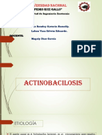 Actinobasilosis