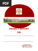 Download summer traning report on handicraft by Himanshu Singh Tanwar SN44479607 doc pdf