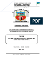 TDR Nº 004-2019-ELABORACION DEL EXPEDIENTE TECNICO_CETPRO_TOMAYKICHWA - Copy