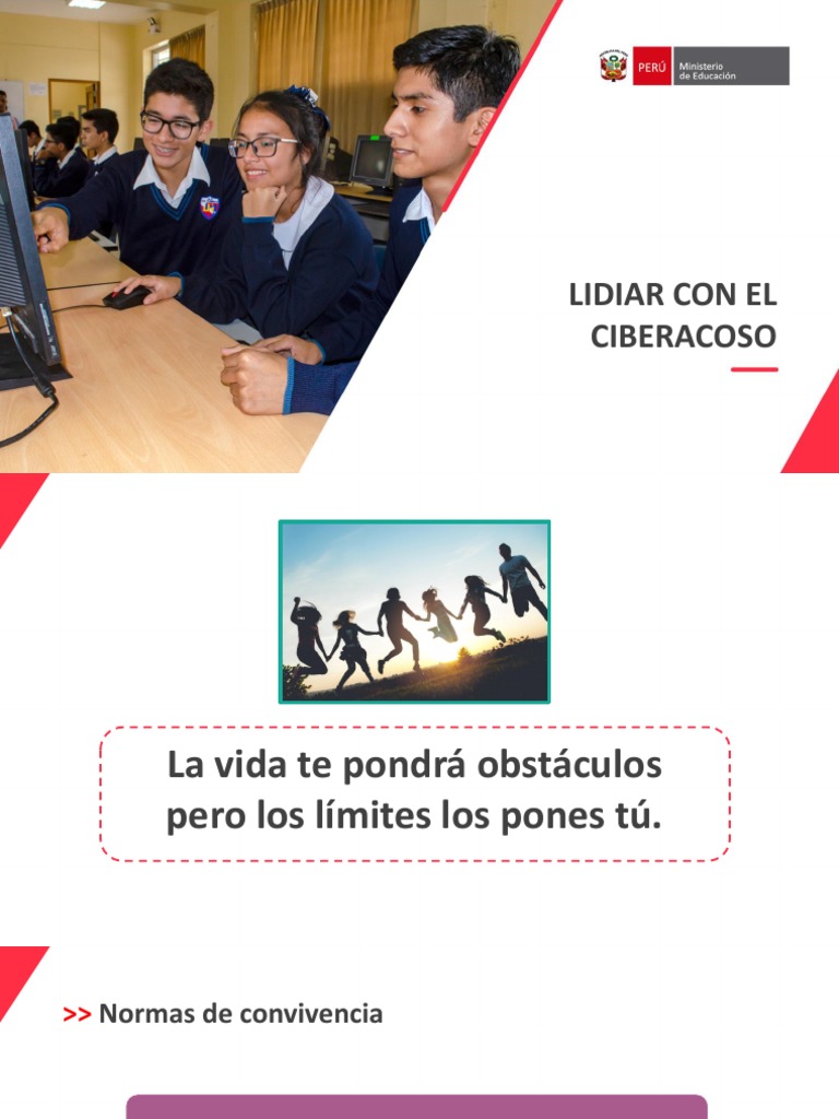 Estrategias contra el ciberacoso | PDF | Acoso cibernético ...