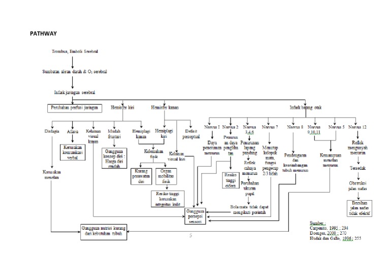 PATHWAY Stroke | PDF