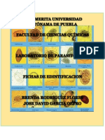 Fichas de Identificacion Para l (1)