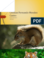 Cristian Fernando Mendez Castrox4.ppsx