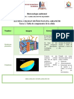 Tarea de Biotecnologia