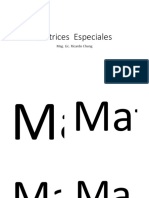 Matrices  Especiales CHUNG 4.pdf