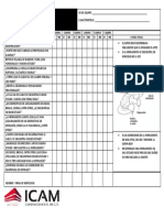 FORMATO CHEK LIS ICAM PULIDORA