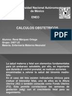 calculosobstetricos-150215212112-conversion-gate01.pdf