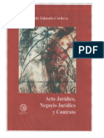 Acto Jurídico-Taboada PDF