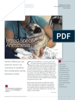 Anestesia específica por razas.pdf