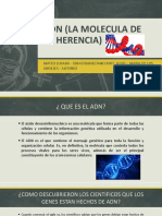ADN (LA MOLECULA DE LA HERENCIA).pptx