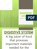 Digestive System