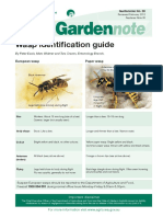 Wasp_Identification_Guide