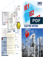 Brosura Imp PDF