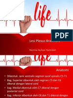 Lesi Plexus Brachialis