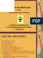 Gizi Ibu Menyusui