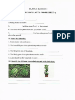 Class 2 Worksheet 1.pdf