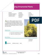 Classifying Plants E Unit