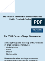 04b AP Bio The Structure and Function of Proteins and Nucleic Acids