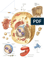 Avanza_ciencias_naturaleza (arrastrado)