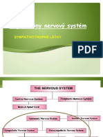 VNS - Sympatikus - SJ