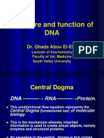 Structure and function of DNA (1).ppt