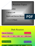 Dark Reaction Topics: CO Fixation Calvin Cycle Starch and Sucrose Biosynthesis