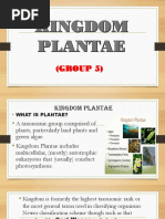 Kingdom Plantae