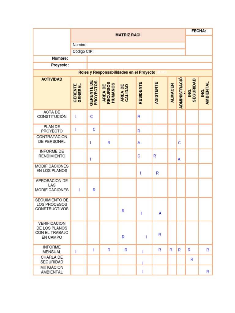 Matriz RACI de Roles y Responsabilidades | PDF | Business