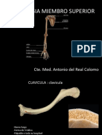 Osteologia Miembro Superior