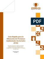 263252628-PAS-pdf (1).pdf