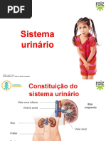 re82140_cv6_sistema_urinario