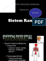 3b. Sistem Rangka