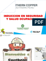 Induccion SPCC TOQUEPALA v1 en Revision PDF