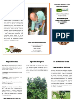 trifolio-Requerimientos-Agroclimatologicos-de-la-Pimienta-Gorda