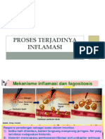 Proses Terjadinya Inflamasi