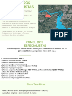 Painel Dos Especialistas PDF