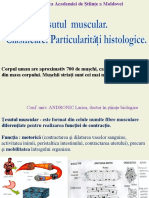 Tesutul Muscular PDF