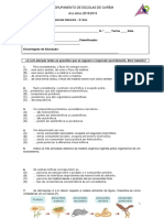 Teste Fluxo e ciclo