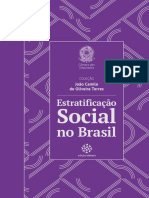 estratificacao_social_camilo.pdf