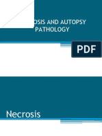 19.-NECROSIS-AND-AUTOPSY-PATHOLOGY