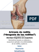 Artrosisderodilla 171005170656