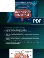 Obstrucción intestinal [Autosaved]