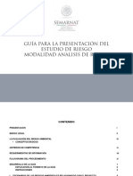 Guia_Estudio_de_Riesgo__Analisis_de_Riesgo_.pdf